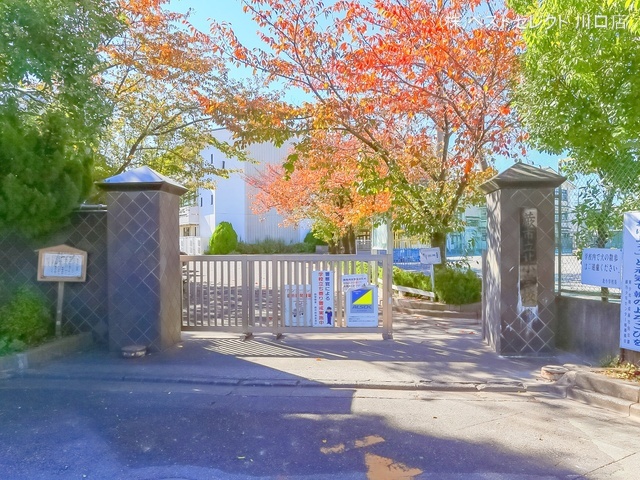 蕨市立北小学校 距離800m