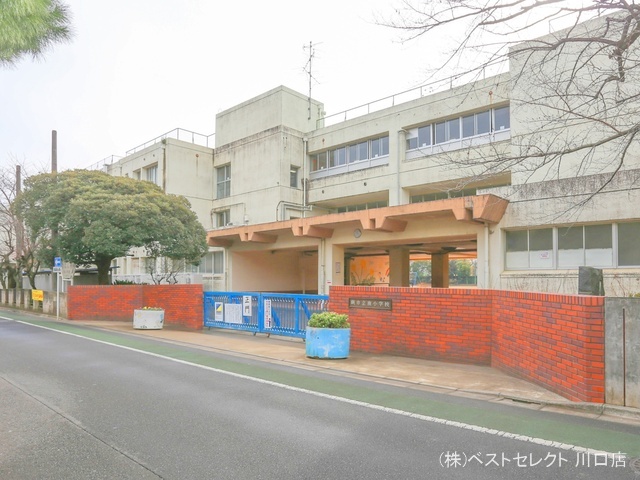 蕨市立南小学校 距離480m