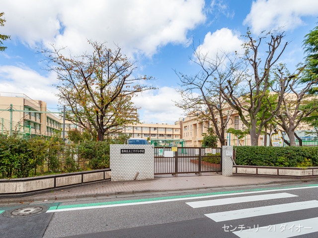 葛飾区立こすげ小学校 距離430m