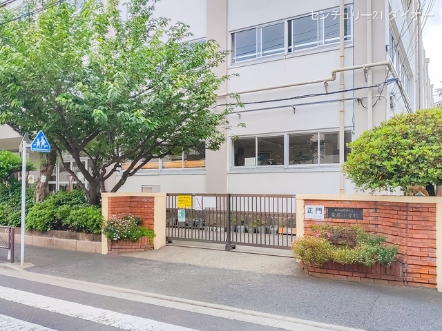 葛飾区立柴原小学校 距離550m