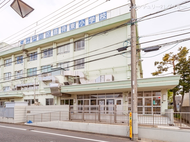 江戸川区立鹿骨東小学校