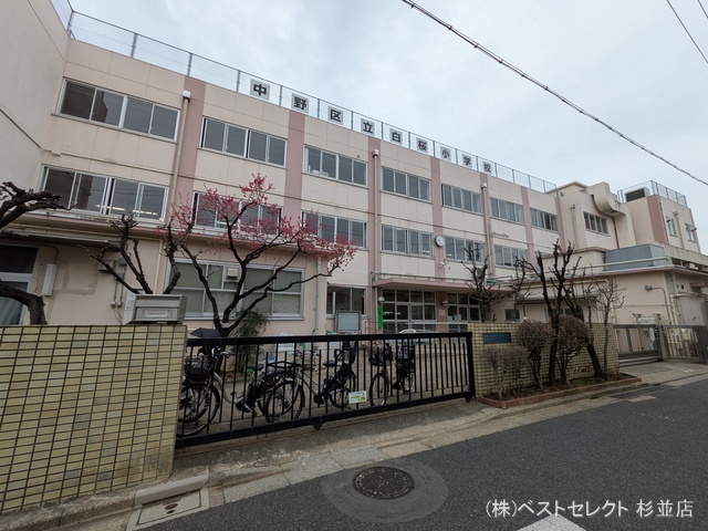 中野区立白桜小学校 距離500m