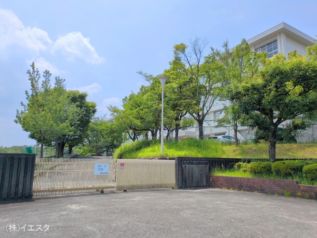 春日井市立高森台中学校　距離260m