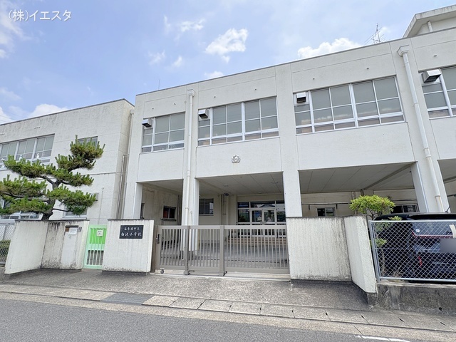 名古屋市立白沢小学校　距離240m