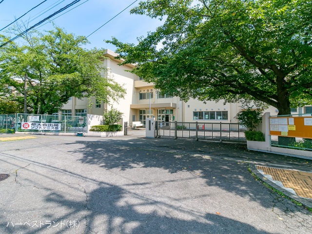 八王子市立石川中学校　距離650m