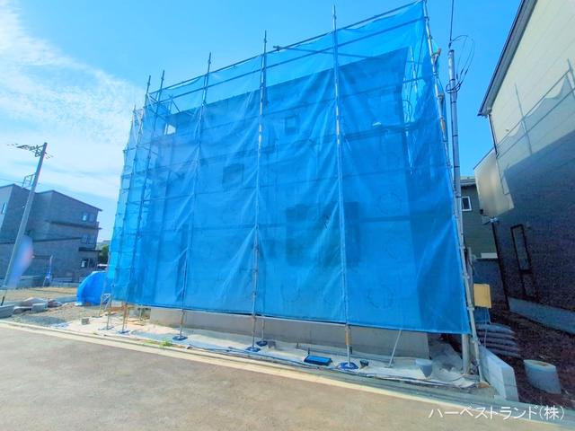 シート