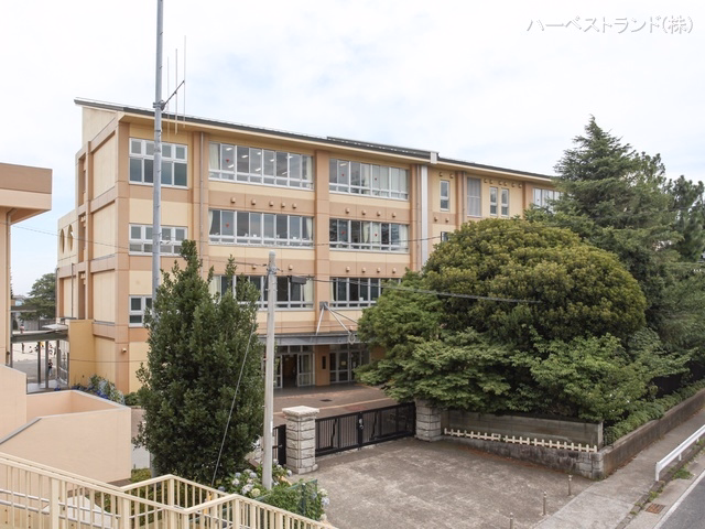 神奈川県綾瀬市深谷中２丁目の新築戸建て周辺 綾瀬市立綾瀬小学校　距離1350m