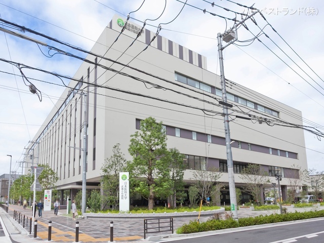 日本医科大学武蔵小杉病院 距離600m