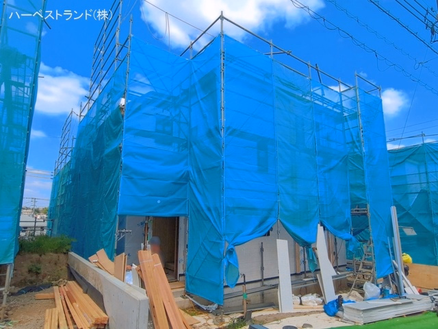 シート