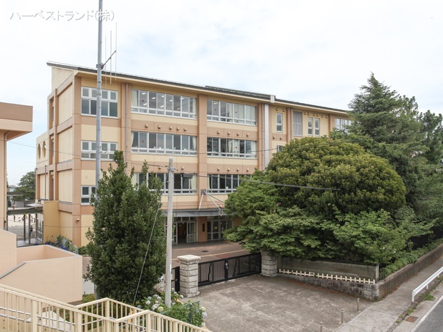 綾瀬市立綾瀬小学校　距離920m