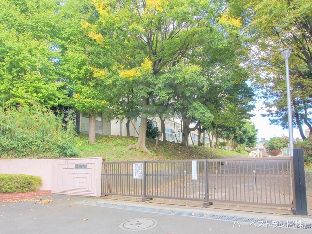 横浜市立山内中学校 距離400m