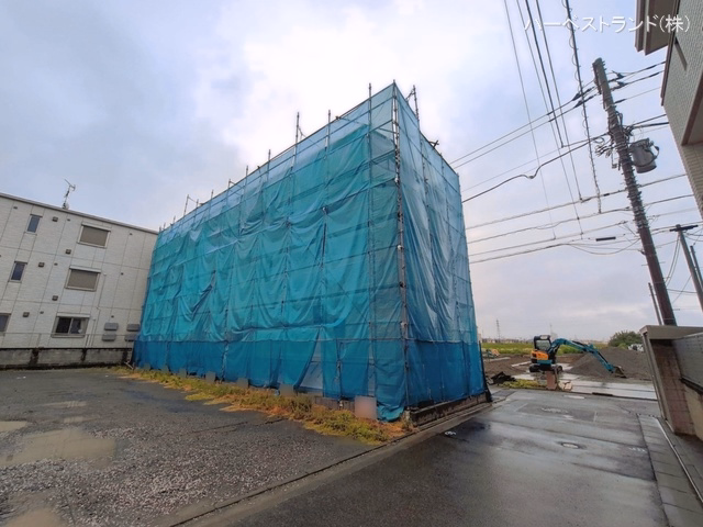 シート