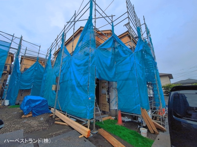 シート