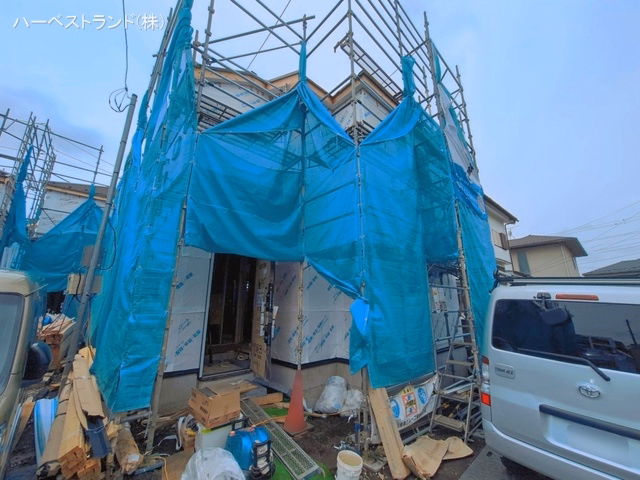 シート
