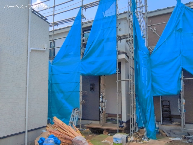シート
