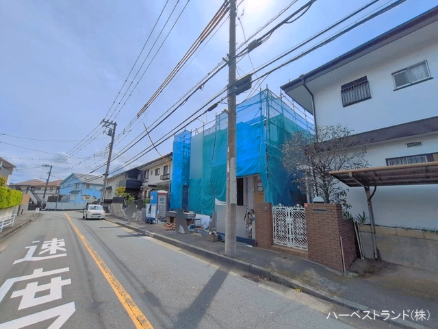 シート