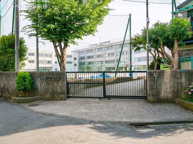 川崎市立日吉小学校 距離1100m