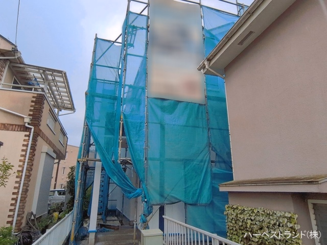 シート