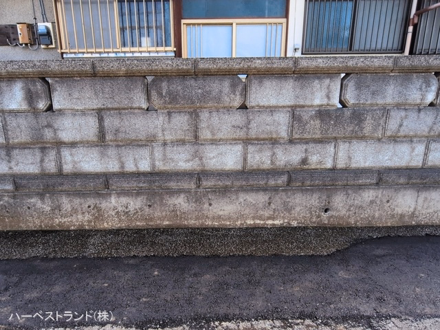 上棟