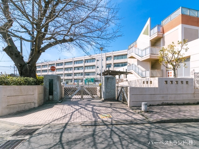 横浜市立市沢小学校