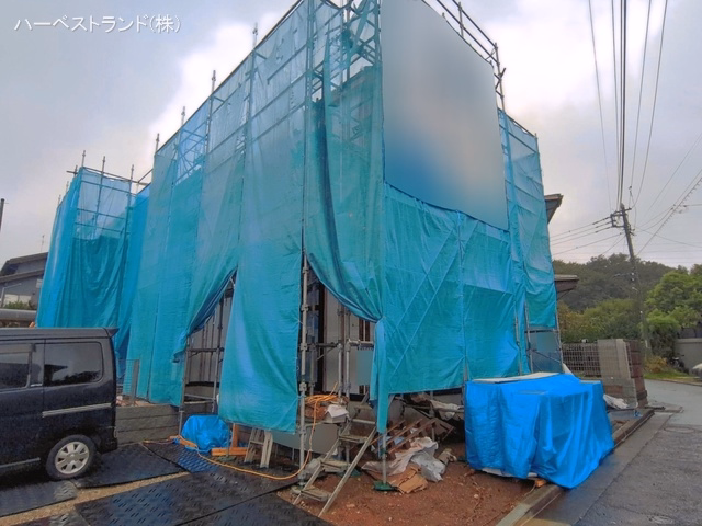 シート