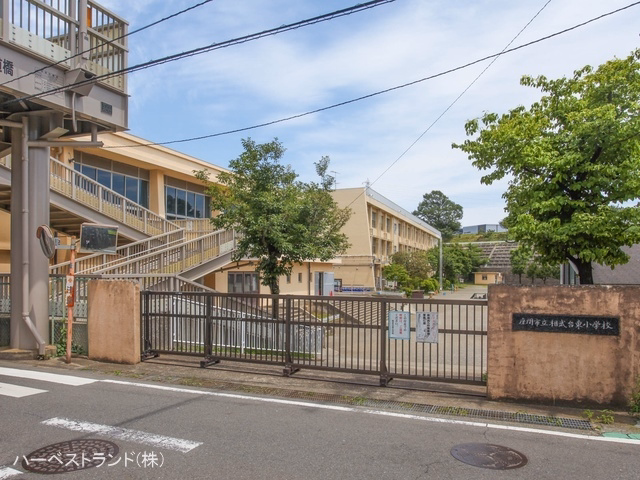 神奈川県座間市緑ケ丘３丁目の新築戸建て周辺 座間市立相武台東小学校　距離700m