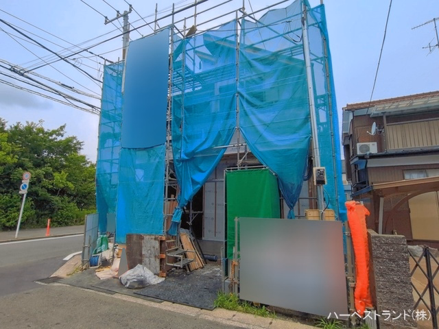 シート
