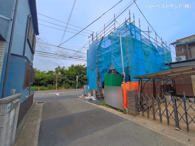 シート