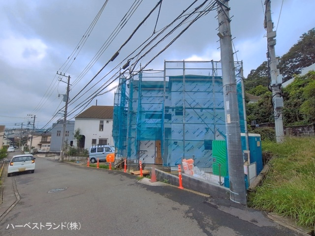 シート