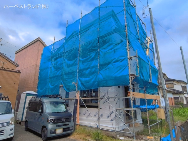 シート
