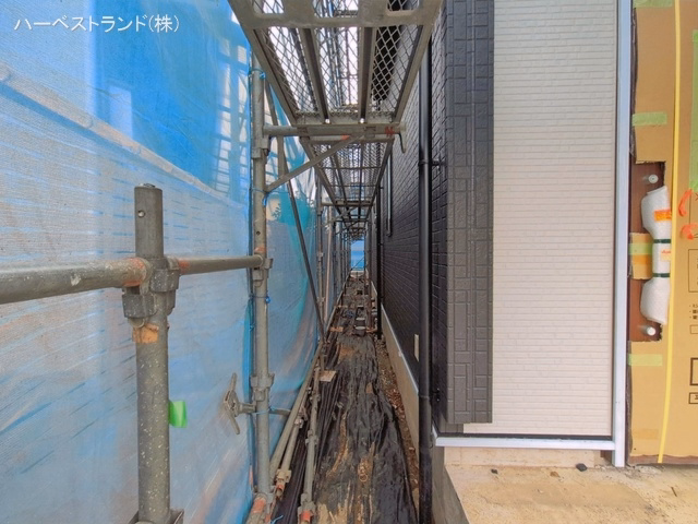 シート
