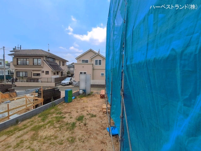 シート