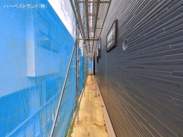 シート