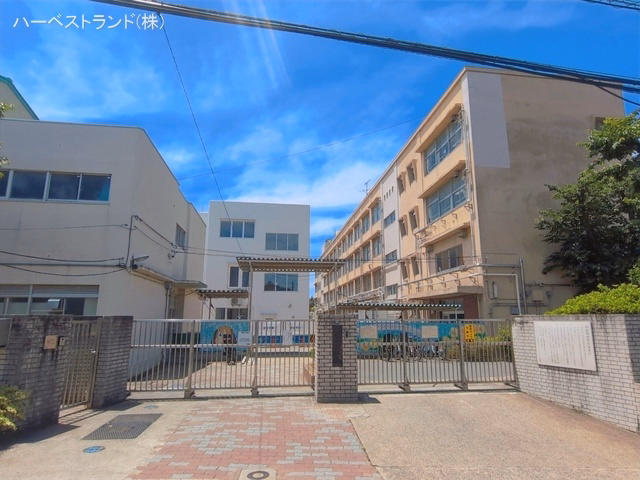 横浜市立つつじが丘小学校