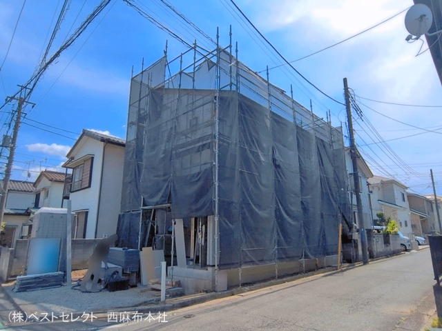 シート
