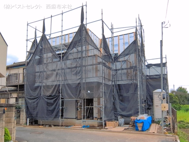 シート