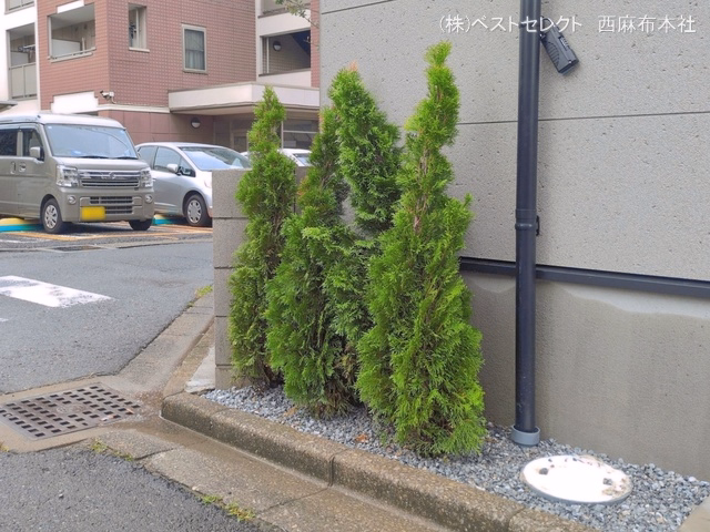 完成
