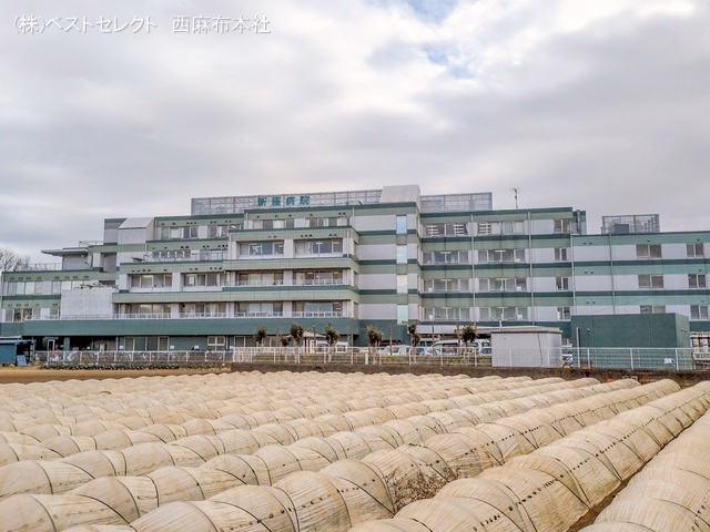 新座病院