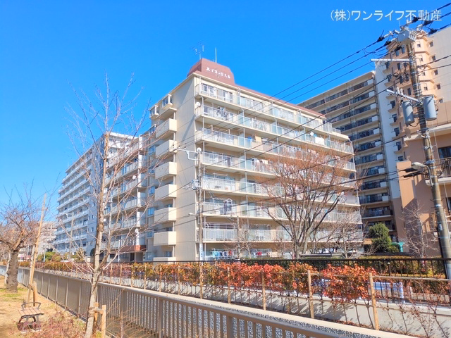 中古マンション ハイラーク大島 外観