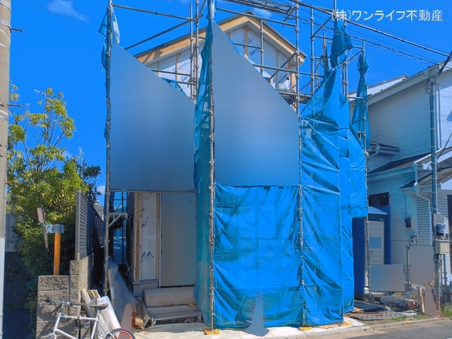 シート