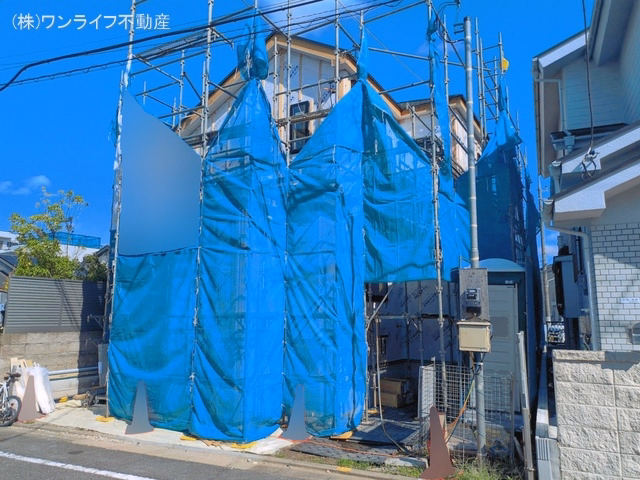 シート