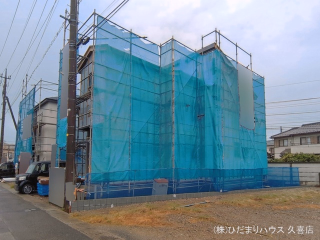 シート