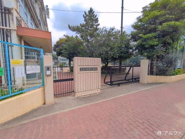 杉並区立馬橋小学校
