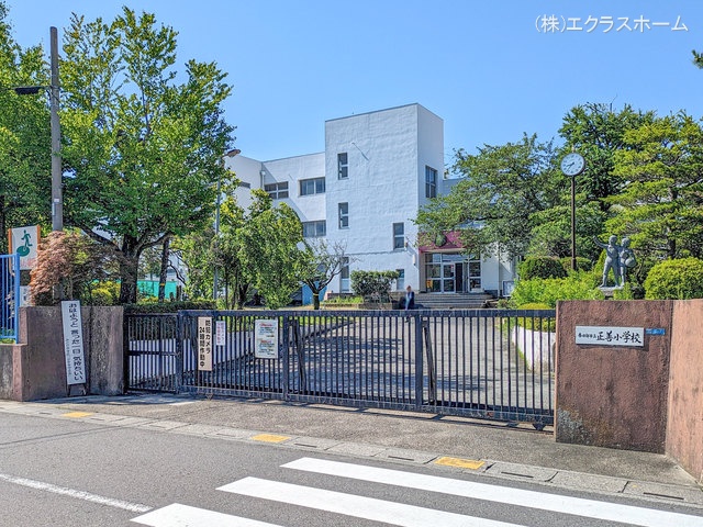 春日部市立正善小学校 距離20m
