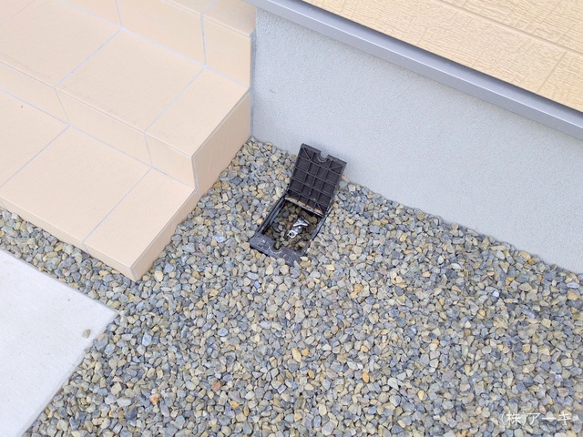 愛知県知多市八幡字堀切の新築戸建て完成写真 2025年11月12日撮影