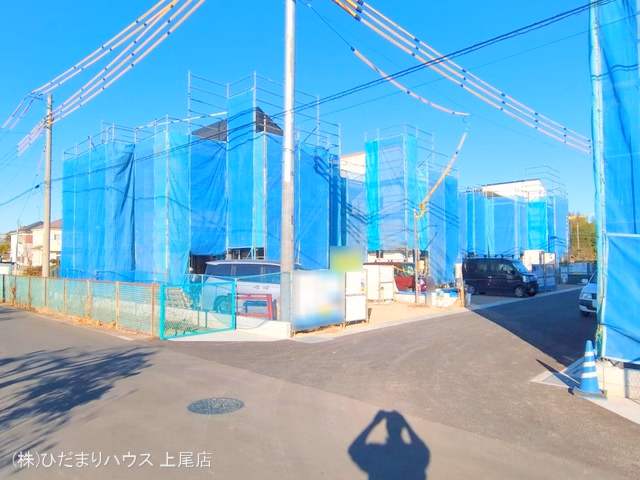 シート