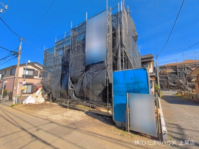 シート