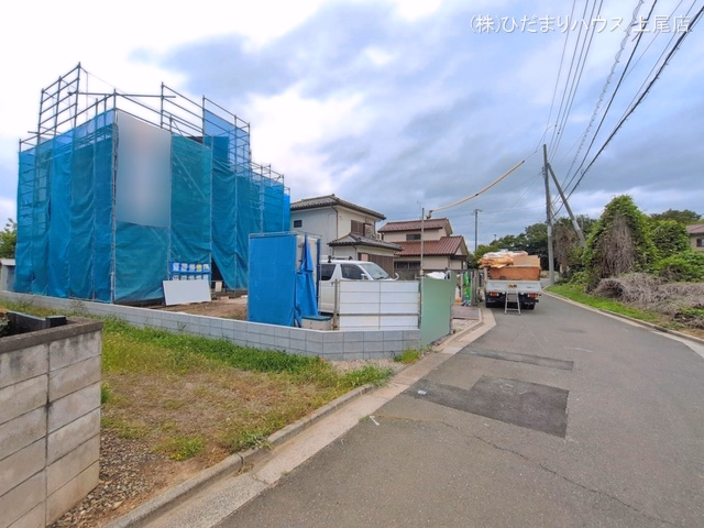 シート