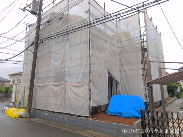 シート