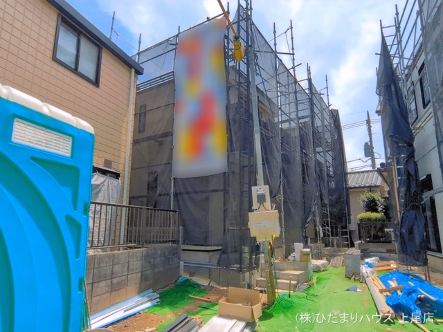 シート